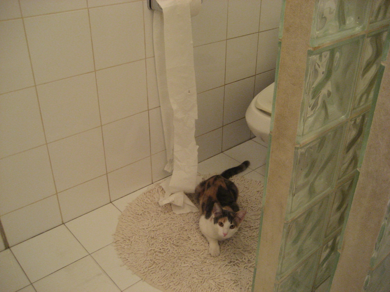 勇士队新战术体系初显成效，连战连捷，勇士队进攻战术集锦