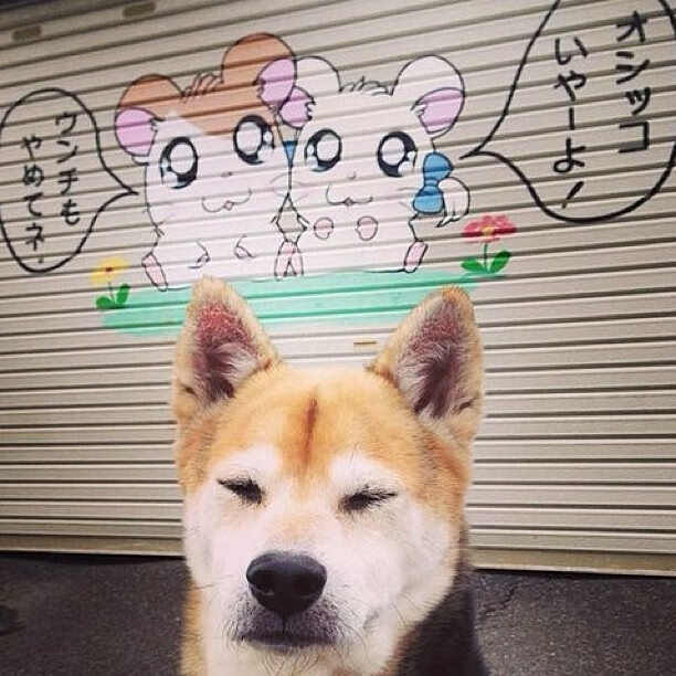 史上最“爆炸”的逆转比赛，真的是“逆天奇迹”！，爆炸翻转星