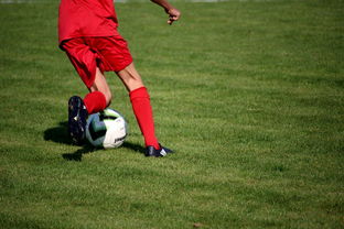 开云真人娱乐官网-中国足球青训体系引进国际先进训练理念，中国足球青训体系是什么